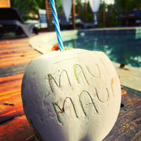 Maui Maui Wellness- Taipu de Fora